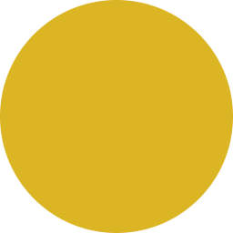 Yellow circle